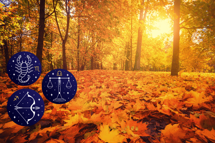 Sonbahar Doğumluların Denge Arayışı